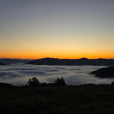 чорногірський двір * Dzembronia