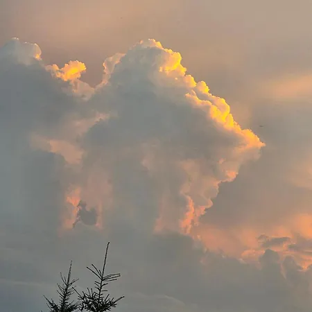 чорногірський двір Dzembronia