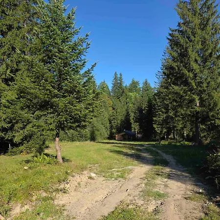 чорногірський двір Holiday home Dzembronia