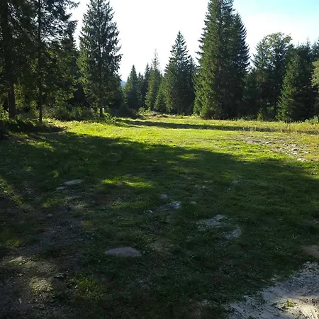 чорногірський двір Holiday home Dzembronia