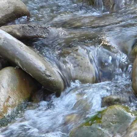 Holiday home чорногірський двір