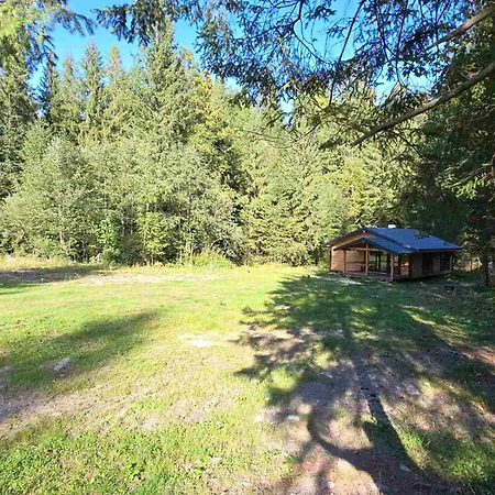 чорногірський двір Dzembronia