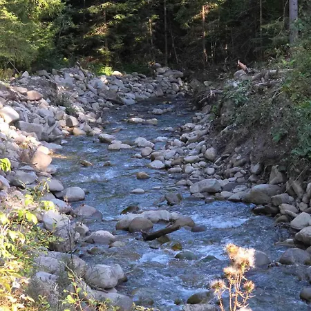 Holiday home чорногірський двір