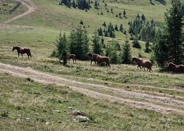 чорногірський двір
