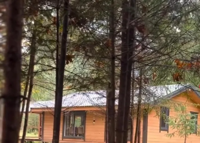 чорногірський двір *