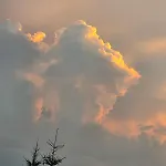 чорногірський двір Dzembronya