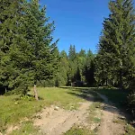чорногірський двір Nyaraló Dzembronya