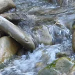 Nyaraló чорногірський двір