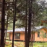 чорногірський двір *